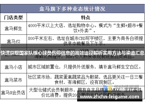 快速获取国家队核心球员伤停信息的高效途径解析实用方法与渠道汇总